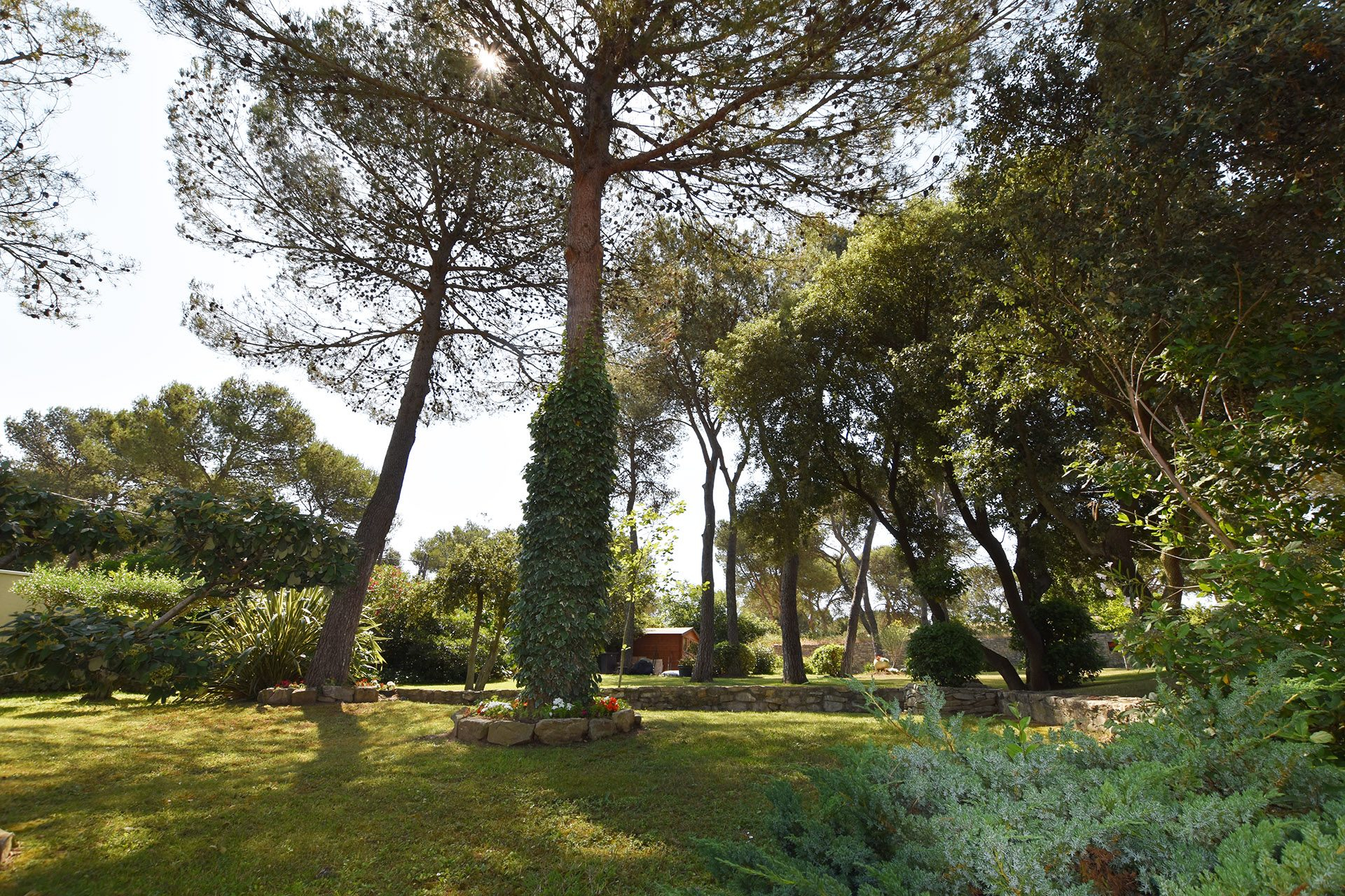 NÎMES – CARREAU DE LANES : Villa d’Exception de 248 m² sur 3000 m² de Terrain Paysagé avec Piscine et Pool House - photo 22
