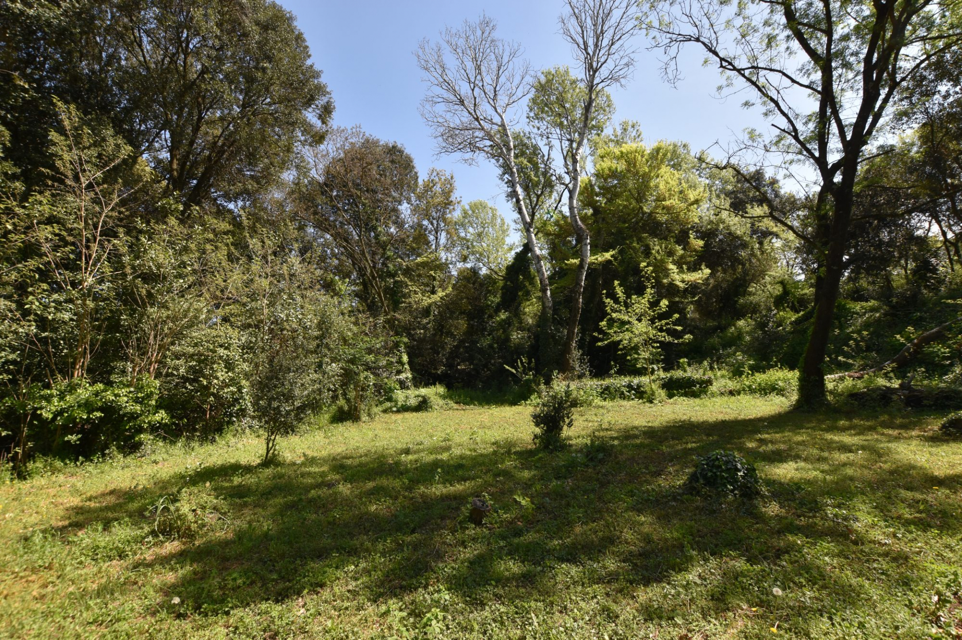 BOUILLARGUES : Mas - Ensemble immobilier de 4 maisons sur 7100m2 de terrain - photo 3