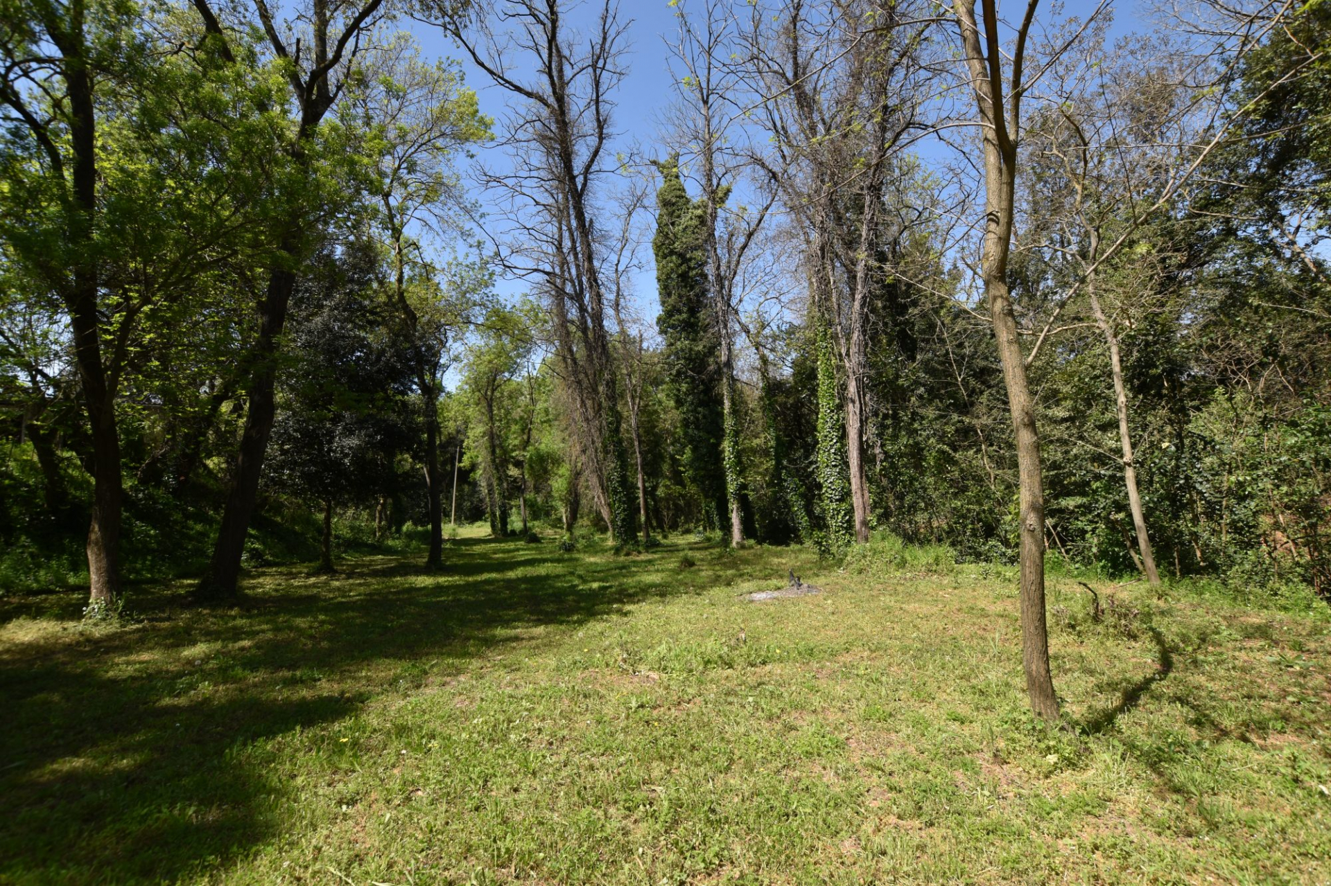 BOUILLARGUES : Mas - Ensemble immobilier de 4 maisons sur 7100m2 de terrain - photo 31