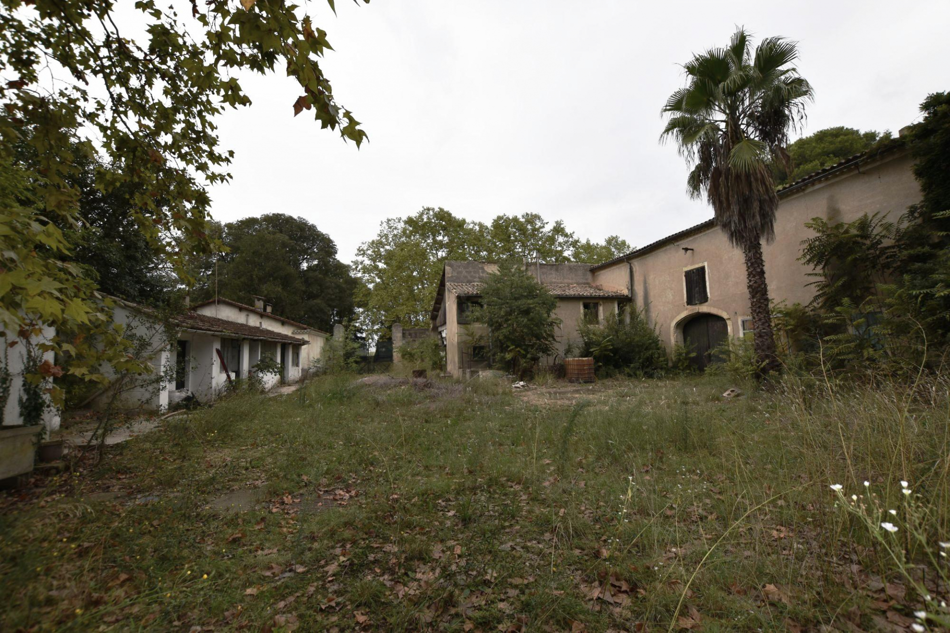 VERGEZE : Domaine comprenant une Maison de Maître, une Maison de Gardien et un grand Mas familial à rénover avec dépendances sur un terrain d'un hectare 7688 m² avec piscine. - photo 6